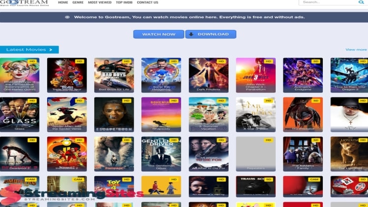 GoStream – How to Stay Safe While Watching Videos on GoStream
