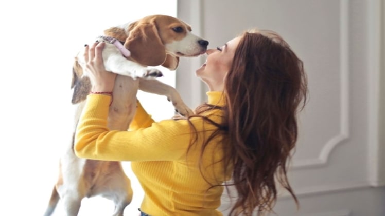 Nontoxic Ways to Protect Your Pet